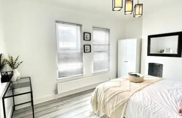 Spacious Modern Victorian House in Rochester - Photo 20