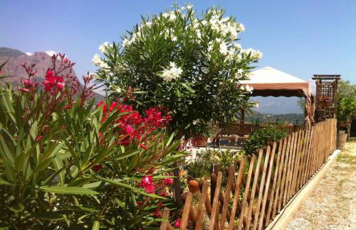 Claude et Marie-France - Foto 44