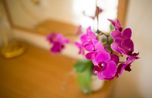 Apartments Villa Majda - Foto 39