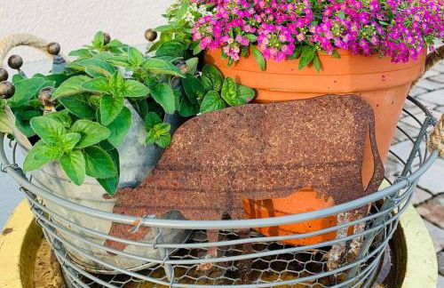 Kleines Glück - Foto 26