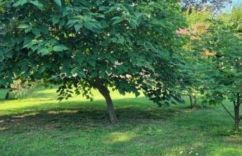 L'Olivier Chez Mamé Marthe - Foto 31