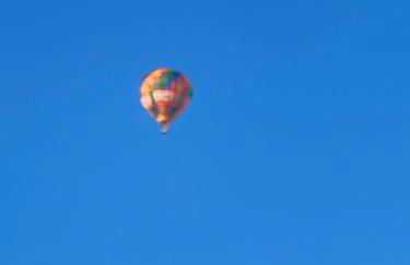 Le colibri au pied des ballons des Vosges - Foto 8