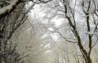 Large countryside home - Foto 56