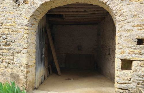 La glycine - Foto 47