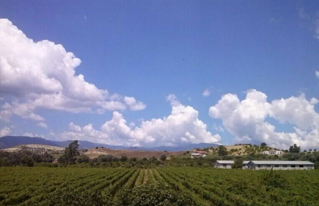 Agriturismo Nereide Ceratti - Foto 14