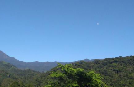 Casa Verde da Floresta da Gávea - Foto 9