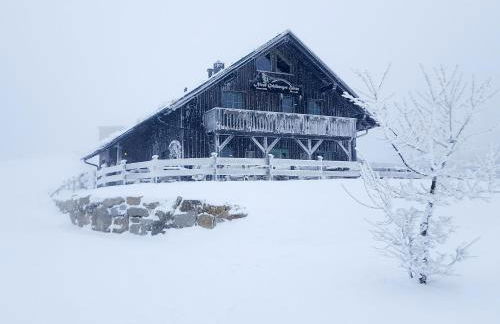 Ferienwohnung Tannenblick 2-2 3-4 - Photo 34