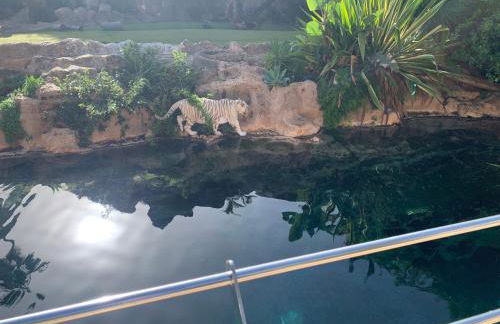 Superbe appartement avec vue sur l océan - Foto 28