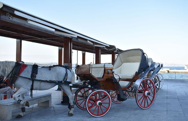 Villa Kyma - Photo 69