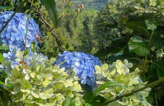 Cabana Alecrim da Serra - Foto 8