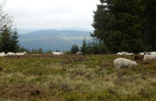 Apartment mit privatem Balkon by Interhome - Photo 21