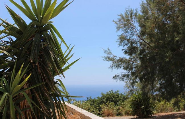 Paterakis Big Studio in Triopetra - Foto 30