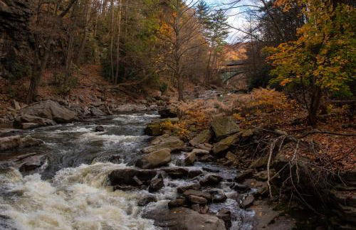 Townhome in No VA, 40 Mins to DC, Pets OK, Fast WiFi - Foto 24