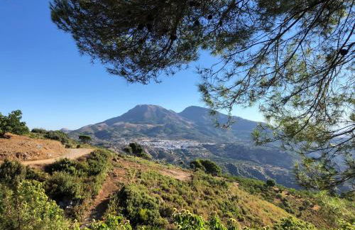 Casita La Pura Vida Yunquera - Foto 28