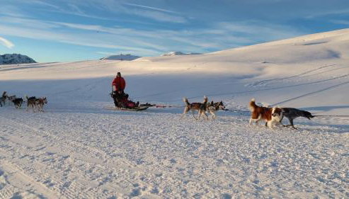 Villa Lutel - Foto 5