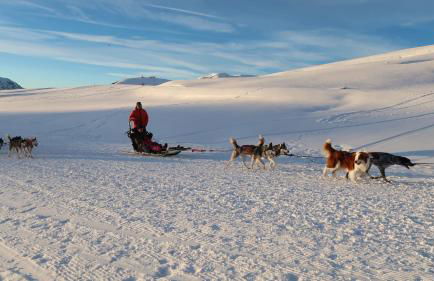 Villa Lutel - Foto 6