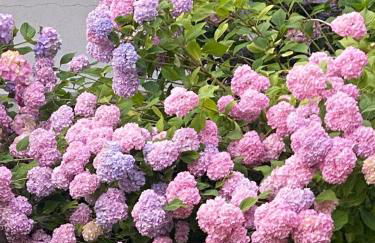 Relax, Comfort & Alps Adventures - Photo 47