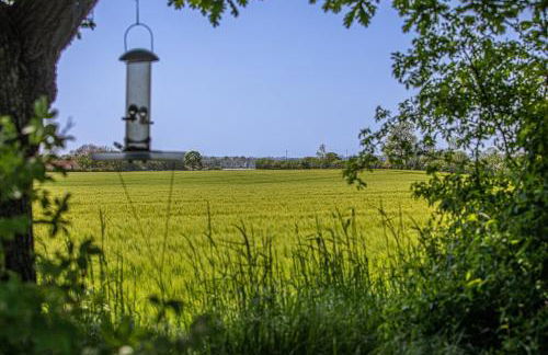 Ferienwohnung Luv - Foto 19