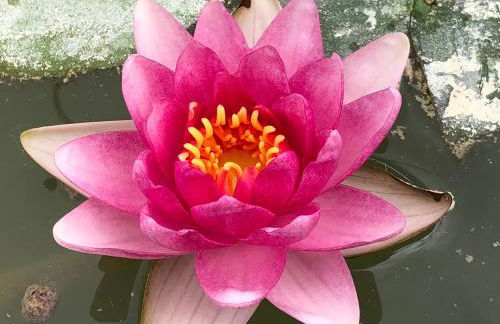 Cascina Vicentini - Foto 34