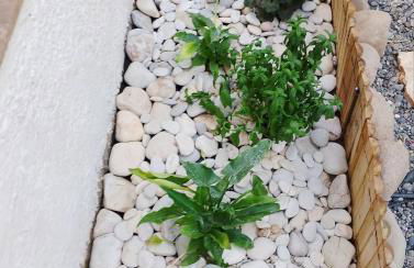 White lilies the house of gourmet flavours - Foto 36