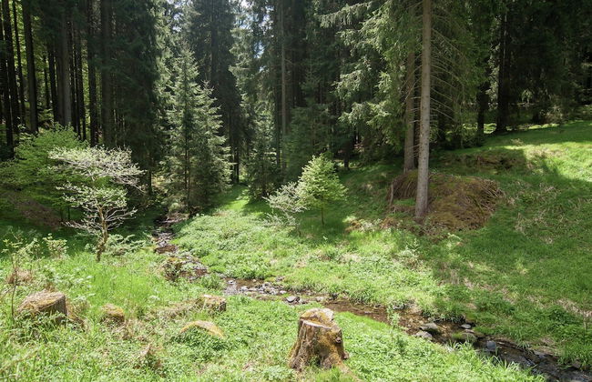 Holiday Home in Thuringian Forest Retreat - Foto 48