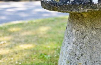 Charney Manor - Photo 49