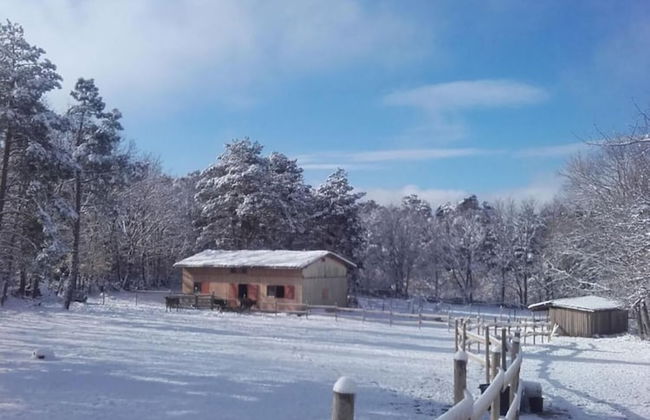 Eco Urbión - Foto 23