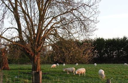 The Dairy at High House - Foto 2