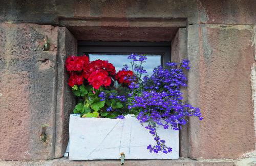 Ausblick Maisenbach, Talstraße - Foto 8