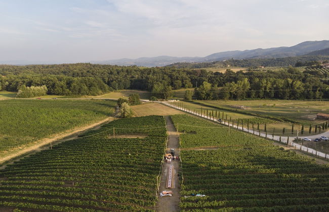 Palagina la cascina - Foto 65