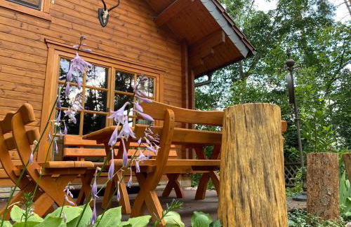 Waldhaus Eichhörnchen - Foto 7