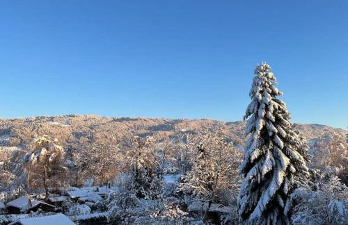 Ferienwohnung am Seeberg - Foto 4