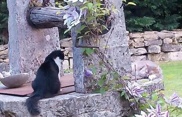 Dépendance pour 1 à 4 pers au calme dans propriété - Foto 7