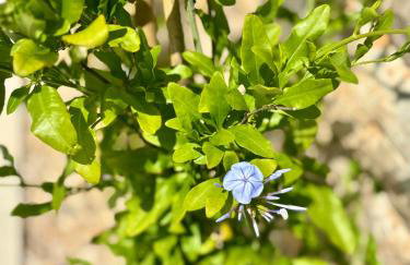 Villa Olea Mare - Mediterranean Comfort and Style - Foto 40