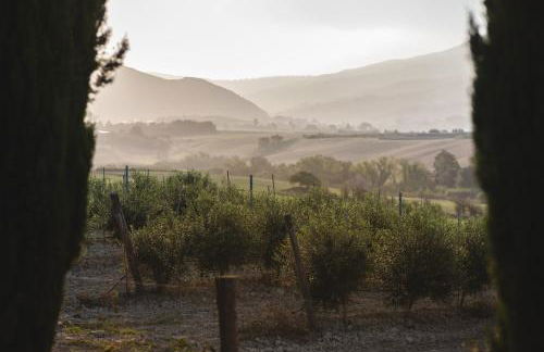 Le Fraine - Agriturismo & Olives Glamping - Foto 58