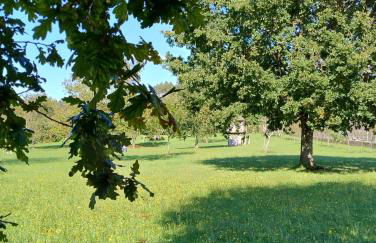 Casa Bartulo - Foto 36