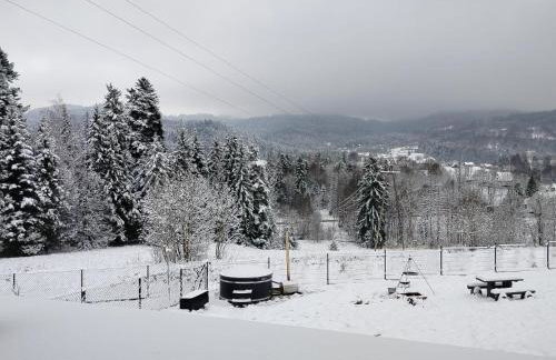 Domek z widokiem i prywatną Balią - Foto 43