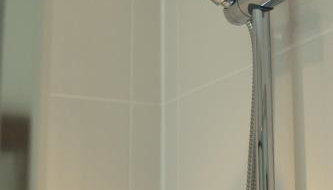 The Allendale Wolf - Foto 3