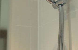 The Allendale Wolf - Foto 3