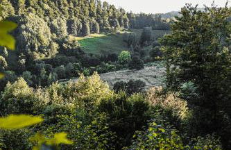 Talblick 5, mit Sauna und wunderschönen Panoramablick NEU - Foto 64