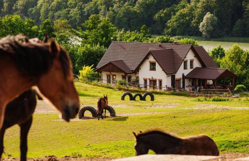 Apartamenty na Pastwisku - Foto 3