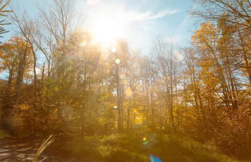 The Magic Teacup - Photo 40