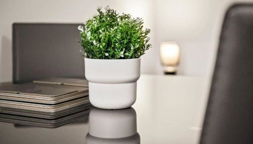 Huge Duplex in Great Location - Foto 2