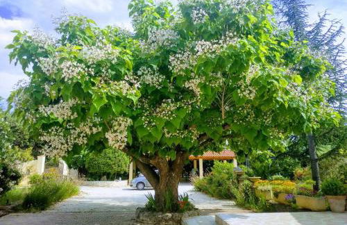 maison piscine privée Robion Luberon idéal famille - Foto 26