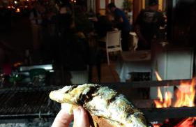 Ape Esquerdo - Foto 28