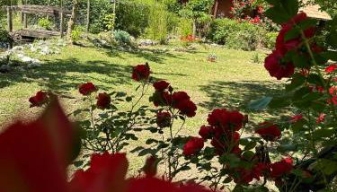 CicloPark Morano Calabro - Foto 4