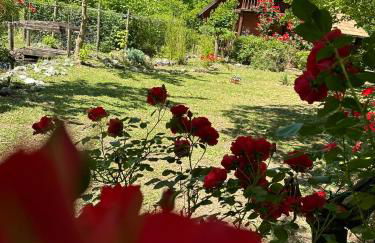 CicloPark Morano Calabro - Photo 4