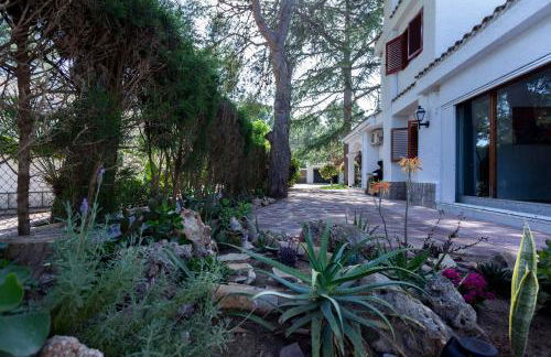 VILLA LATEL - Photo 39