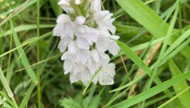 Rechullin, Torridon - Foto 3