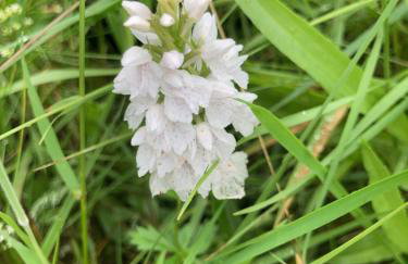 Rechullin, Torridon - Photo 3